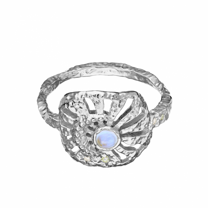 Soluna Ring Sølv i gruppen Ringe hos SCANDINAVIAN JEWELRY DESIGN (4776C)
