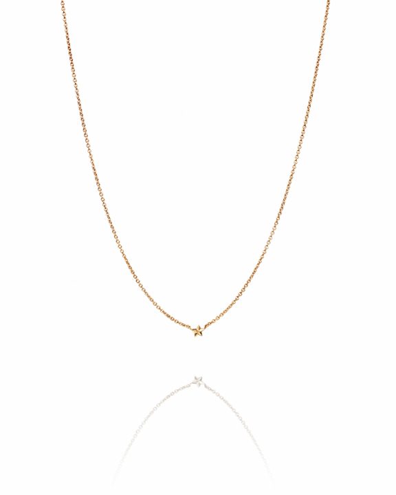 Micro catch a falling star Necklace Gold i gruppen Halskæde / Guldhalskæde hos SCANDINAVIAN JEWELRY DESIGN (10-101-02262-4045)