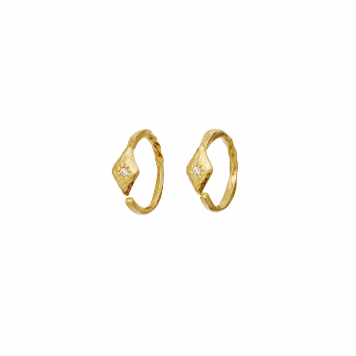 Forte Earrings Gold i gruppen Øreringe / Guldøreringe hos SCANDINAVIAN JEWELRY DESIGN (10021A)