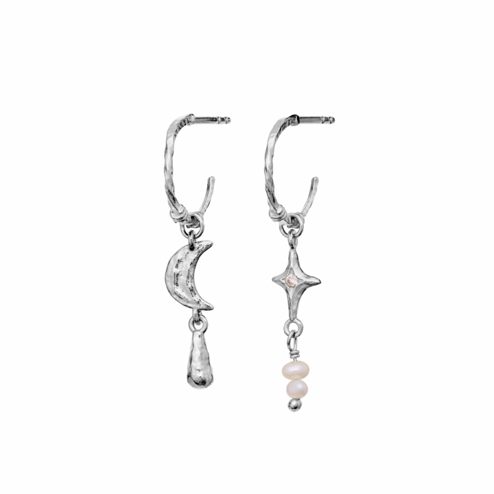 Tamina Earrings Silver i gruppen Øreringe hos SCANDINAVIAN JEWELRY DESIGN (10022C)
