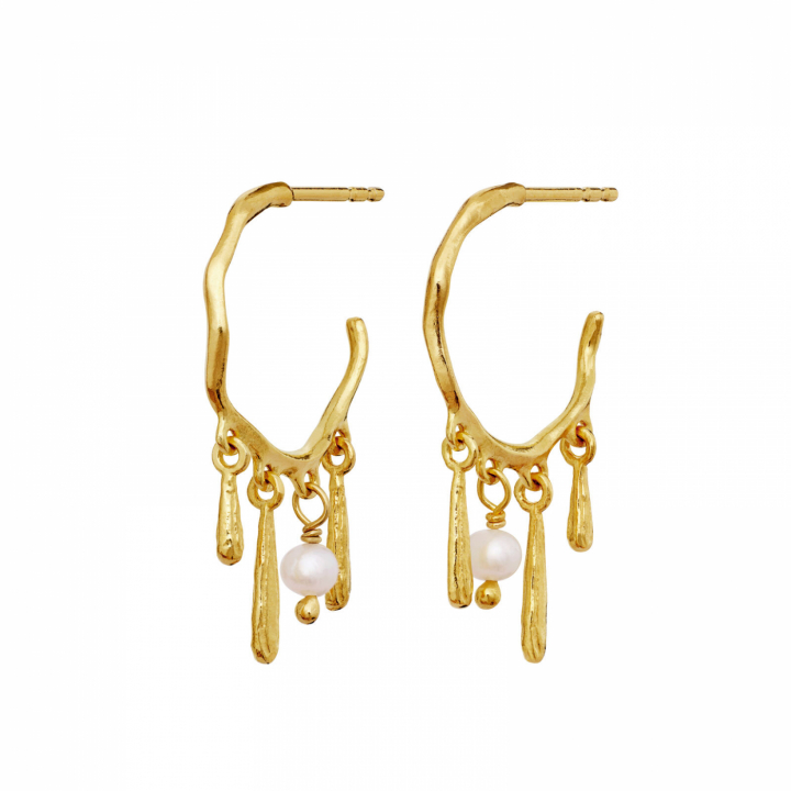 Fricka Earrings Gold i gruppen Øreringe / Perleøreringe hos SCANDINAVIAN JEWELRY DESIGN (10032A)