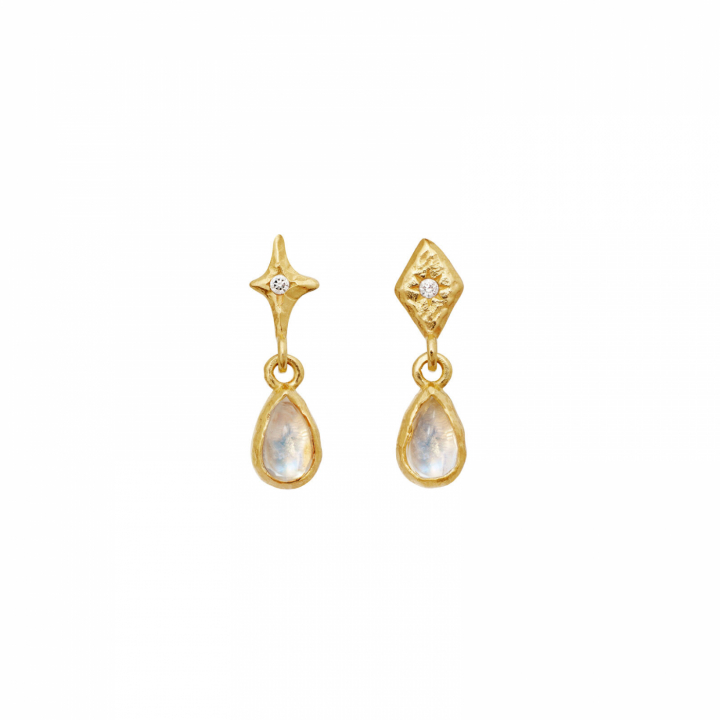 Poco Earrings Gold i gruppen Øreringe / Guldøreringe hos SCANDINAVIAN JEWELRY DESIGN (10043A)