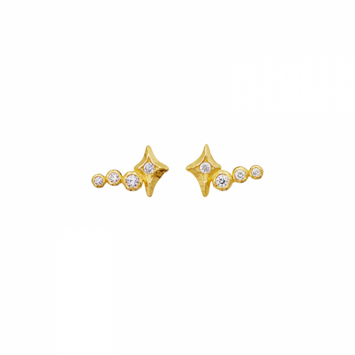 Minna Earrings Gold i gruppen Øreringe / Guldøreringe hos SCANDINAVIAN JEWELRY DESIGN (10044A)