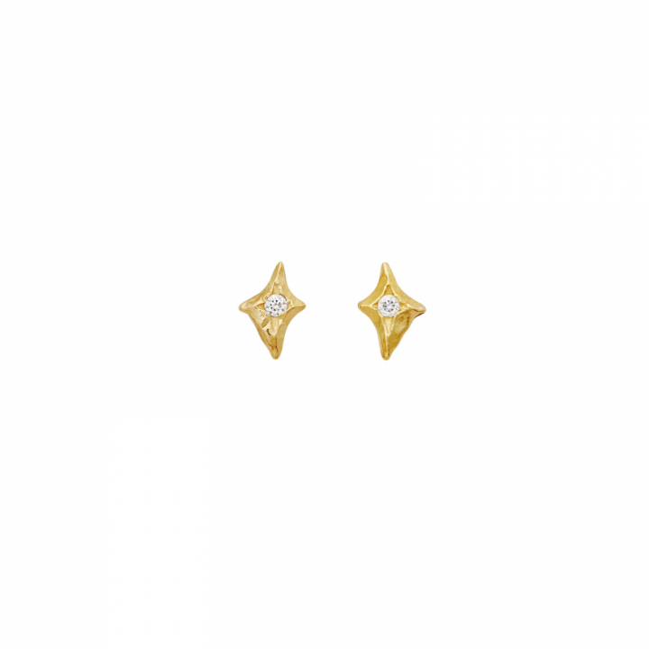Sylfide Earrings Gold i gruppen Øreringe / Guldøreringe hos SCANDINAVIAN JEWELRY DESIGN (10047A)