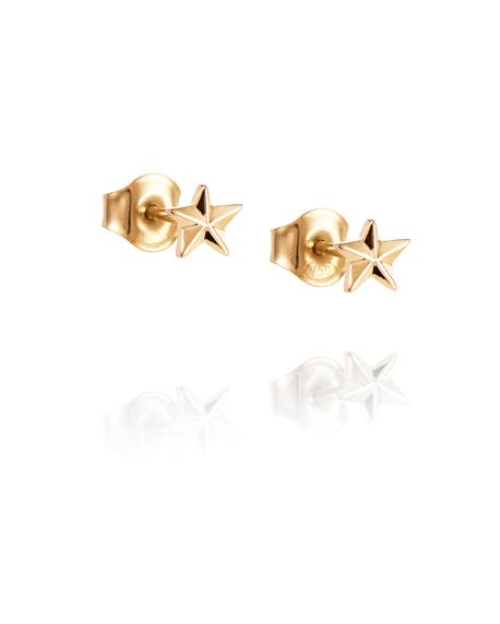 Micro catch a falling star stud gold i gruppen Øreringe / Guldøreringe hos SCANDINAVIAN JEWELRY DESIGN (12-101-02259-0000)