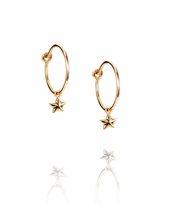 Micro catch a falling star hoops Gold i gruppen Øreringe / Guldøreringe hos SCANDINAVIAN JEWELRY DESIGN (12-101-02260-0000)