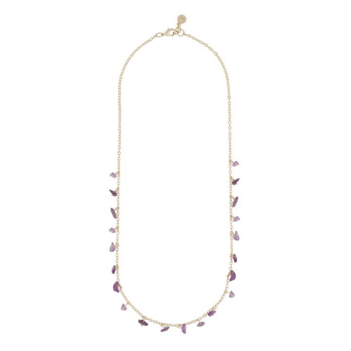 Capri stone charm neck gold purple 45 cm i gruppen Halskæde / Guldhalskæde hos SCANDINAVIAN JEWELRY DESIGN (1274-0245-356-45)