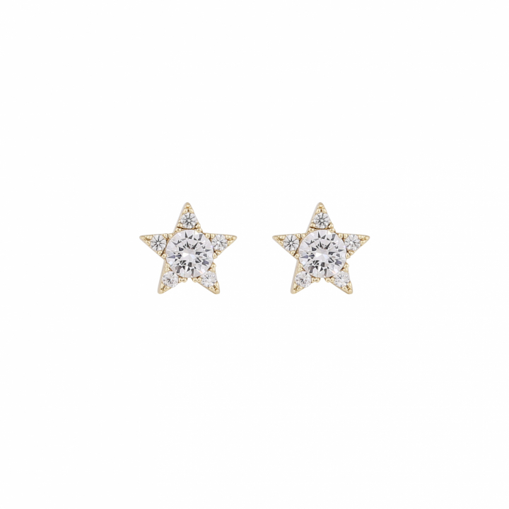 Wish star ear Gold/clear-Onesize i gruppen Øreringe / Guldøreringe hos SCANDINAVIAN JEWELRY DESIGN (1282-6700-251-ONE)