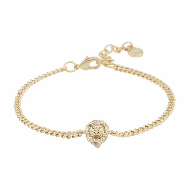 Oz lion chain brace plain Gold-Onesize i gruppen Armbånd / Guldarmbånd hos SCANDINAVIAN JEWELRY DESIGN (1286-3400-257-ONE)