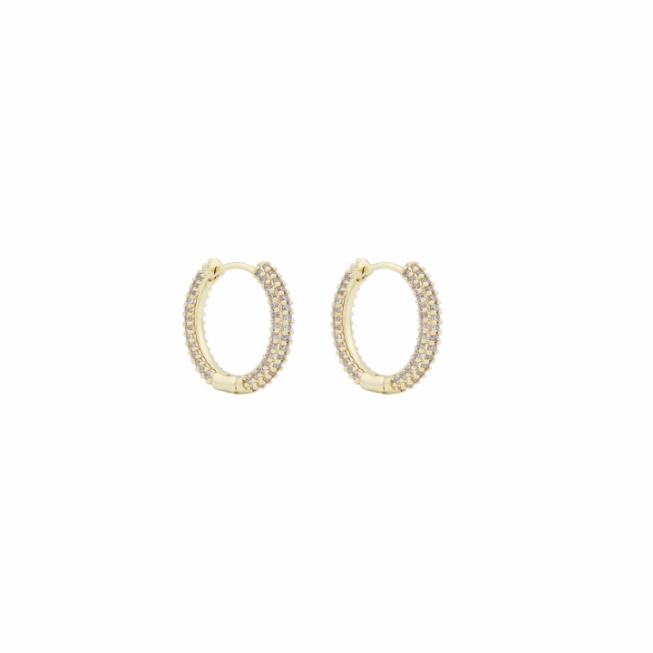 North ring ear 14mm Gold/clear-Onesize i gruppen Øreringe / Guldøreringe hos SCANDINAVIAN JEWELRY DESIGN (1289-7000-251-ONE)