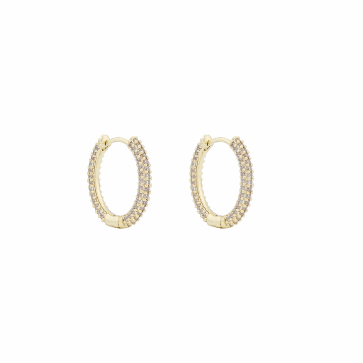 North ring ear 18mm Gold/clear-Onesize i gruppen Øreringe / Guldøreringe hos SCANDINAVIAN JEWELRY DESIGN (1289-7100-251-ONE)