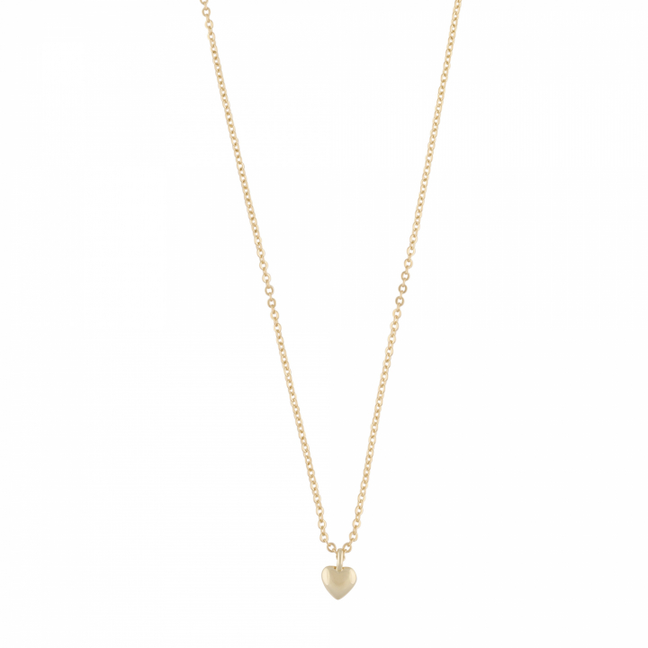 Brooklyn small heart pendant neck 42 Guld i gruppen Halskæde / Guldhalskæde hos SCANDINAVIAN JEWELRY DESIGN (1295-0542-257)
