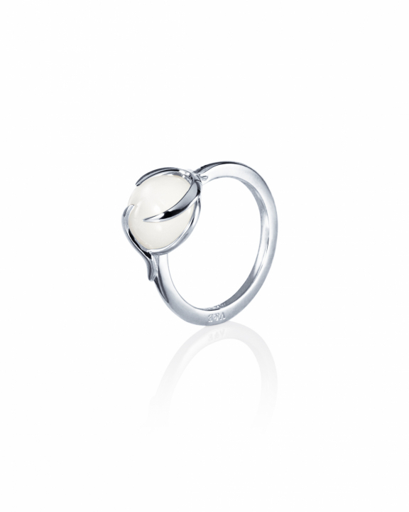 Frö Ring Silver i gruppen Ringe / Sølvringe hos SCANDINAVIAN JEWELRY DESIGN (13-100-02342)
