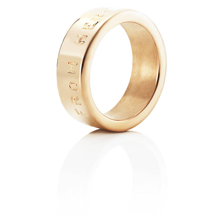 From Here To Eternity Stamped Ring Guld i gruppen Ringe / Guldringe hos SCANDINAVIAN JEWELRY DESIGN (13-101-00611)