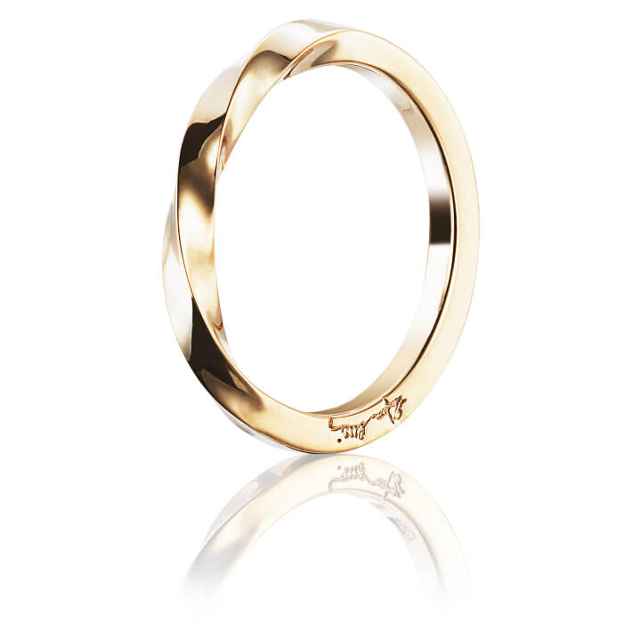 Viking Plain Ring Guld i gruppen Ringe / Guldringe hos SCANDINAVIAN JEWELRY DESIGN (13-101-00978)