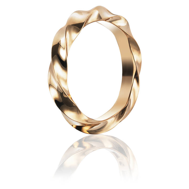 Viking Wide Ring Guld i gruppen Ringe / Guldringe hos SCANDINAVIAN JEWELRY DESIGN (13-101-00979)