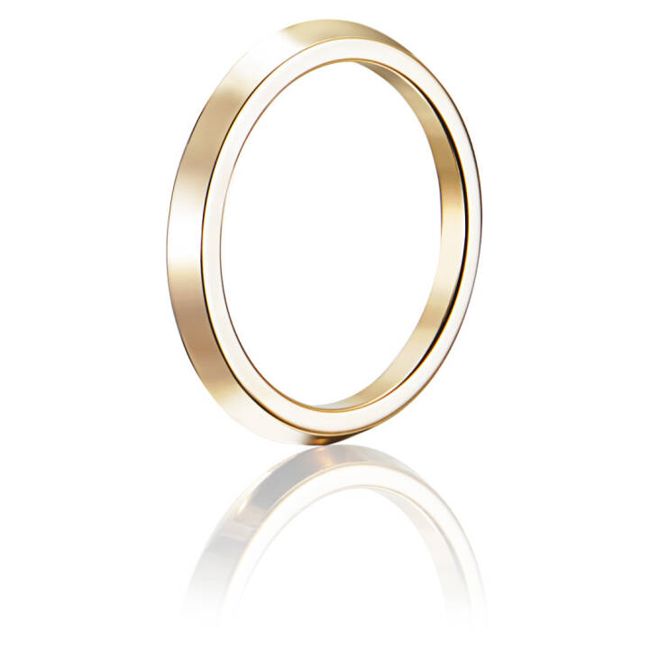Paramour Thin Ring Guld i gruppen Ringe / Forlovelses- og vielsesringe hos SCANDINAVIAN JEWELRY DESIGN (13-101-01129)