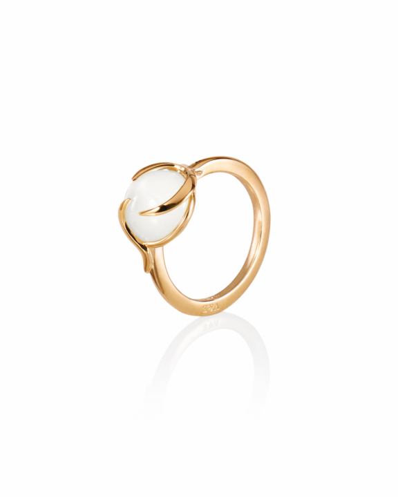 Frö Ring Goldplated Silver i gruppen Ringe / Guldringe hos SCANDINAVIAN JEWELRY DESIGN (13-108-02342)