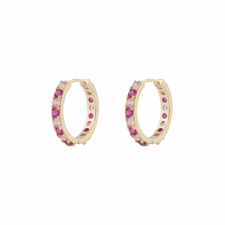 Ellie stone ring ear Gold mix fuchsia i gruppen Øreringe / Guldøreringe hos SCANDINAVIAN JEWELRY DESIGN (1319-6300-681)