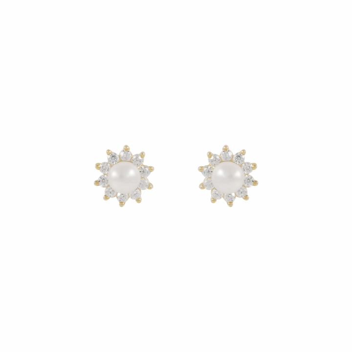 Line pearl Earrings Gold i gruppen Øreringe / Perleøreringe hos SCANDINAVIAN JEWELRY DESIGN (1360-6600-362)
