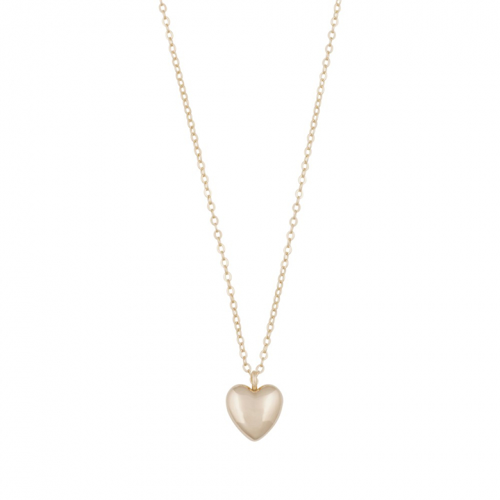 Lovely heart pendant neck gold 42 i gruppen Halskæde / Guldhalskæde hos SCANDINAVIAN JEWELRY DESIGN (1363-0442-257)