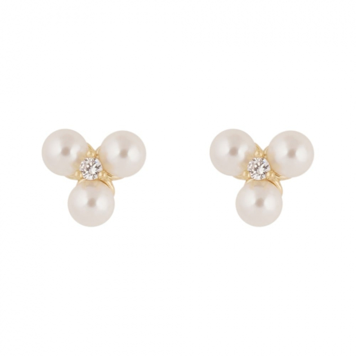 Eira tripple pearl ear Gold i gruppen Øreringe / Perleøreringe hos SCANDINAVIAN JEWELRY DESIGN (1368-6100-362)