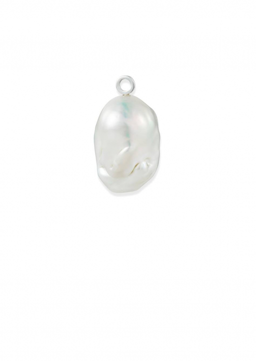 Product Image for Efva Attling Nature's Uniqe Charm (1) Berlock Sølv