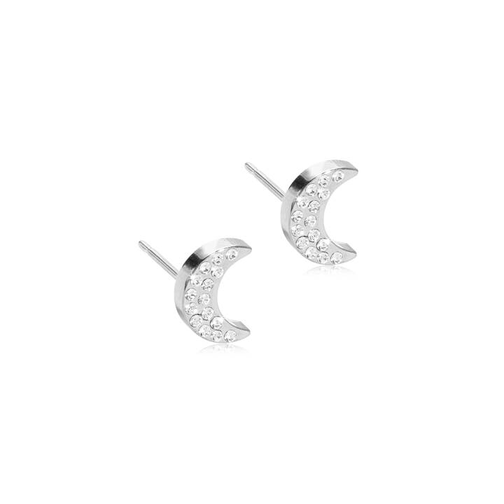  i gruppen Øreringe hos SCANDINAVIAN JEWELRY DESIGN (15-12175-01)