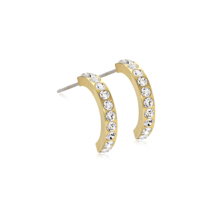  i gruppen Øreringe hos SCANDINAVIAN JEWELRY DESIGN (15-13147-01)