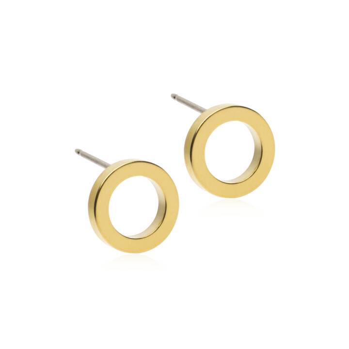 GT Puck Hollow 10 mm i gruppen Øreringe hos SCANDINAVIAN JEWELRY DESIGN (15-13178-00)