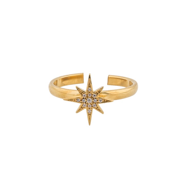 One star ring guld i gruppen Ringe / Guldringe hos SCANDINAVIAN JEWELRY DESIGN (1631521001)