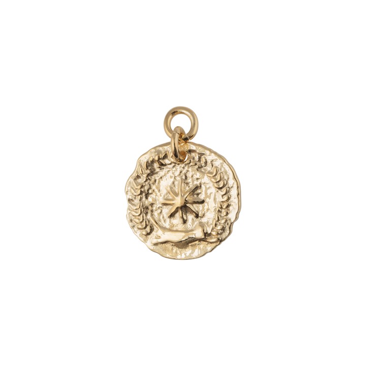 Victory coin pendant Guld i gruppen Halskæde / Guldhalskæde hos SCANDINAVIAN JEWELRY DESIGN (1923020001)