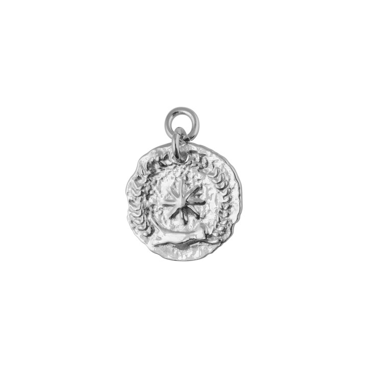 Victory coin pendant Sølv i gruppen Halskæde / Sølvhalskæde hos SCANDINAVIAN JEWELRY DESIGN (1923070001)