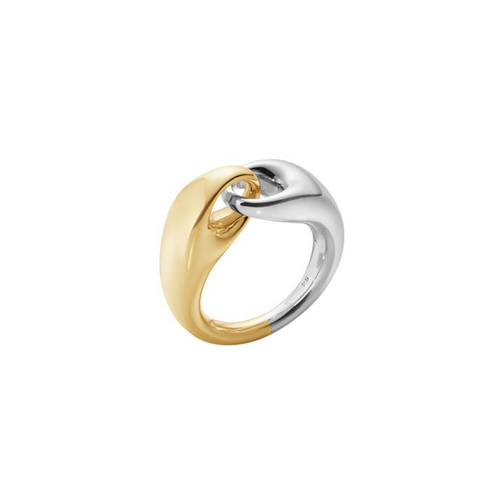 REFLECT LARGE LINK RING Sølv  i gruppen Ringe / Guldringe hos SCANDINAVIAN JEWELRY DESIGN (20001266)