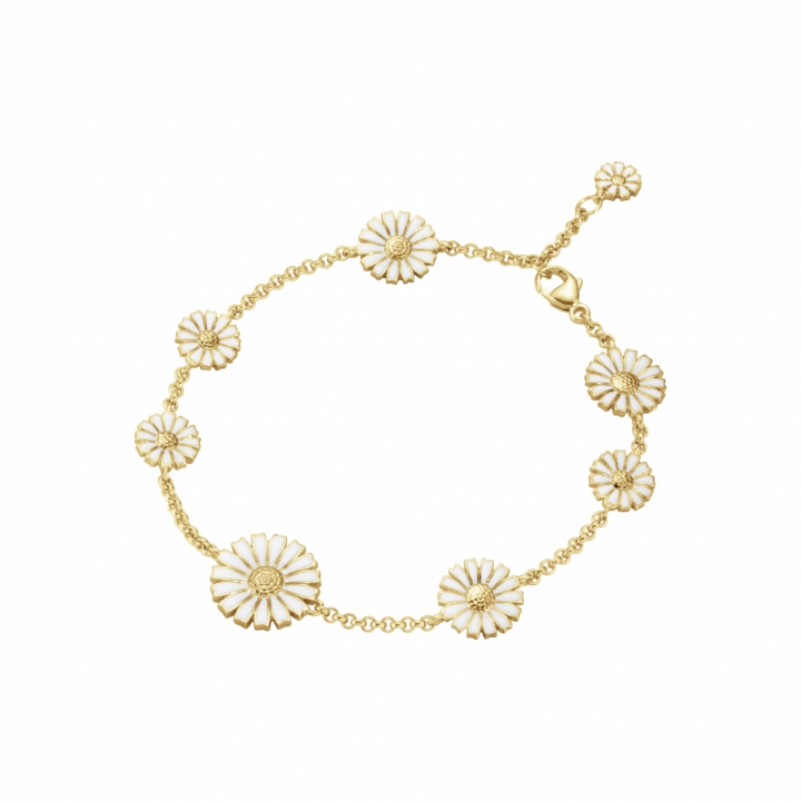 DAISY Bracelet Gold i gruppen Armbånd / Guldarmbånd hos SCANDINAVIAN JEWELRY DESIGN (20001668)