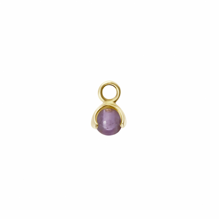 Product Image for CU JEWELLERY Letters stone 2 amethyst pend guld