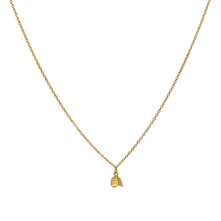  i gruppen Halskæde / Guldhalskæde hos SCANDINAVIAN JEWELRY DESIGN (2640a)