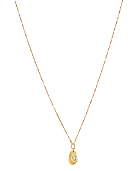 Aju Halskæde Guld i gruppen Halskæde / Guldhalskæde hos SCANDINAVIAN JEWELRY DESIGN (2655a)