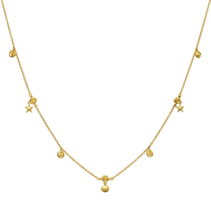 LEILANI Necklace Gold i gruppen Halskæde / Guldhalskæde hos SCANDINAVIAN JEWELRY DESIGN (2696A)