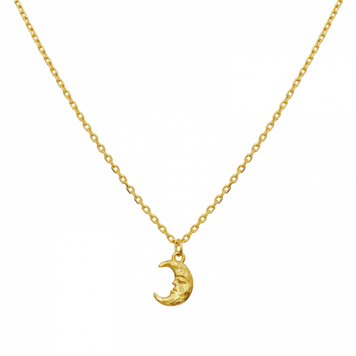 Aila Necklace Gold i gruppen Halskæde / Guldhalskæde hos SCANDINAVIAN JEWELRY DESIGN (2805A)