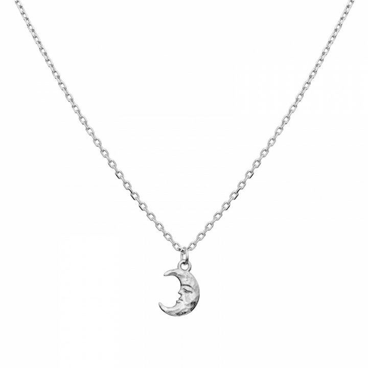 Aila Necklace Silver i gruppen Halskæde / Sølvhalskæde hos SCANDINAVIAN JEWELRY DESIGN (2805C)