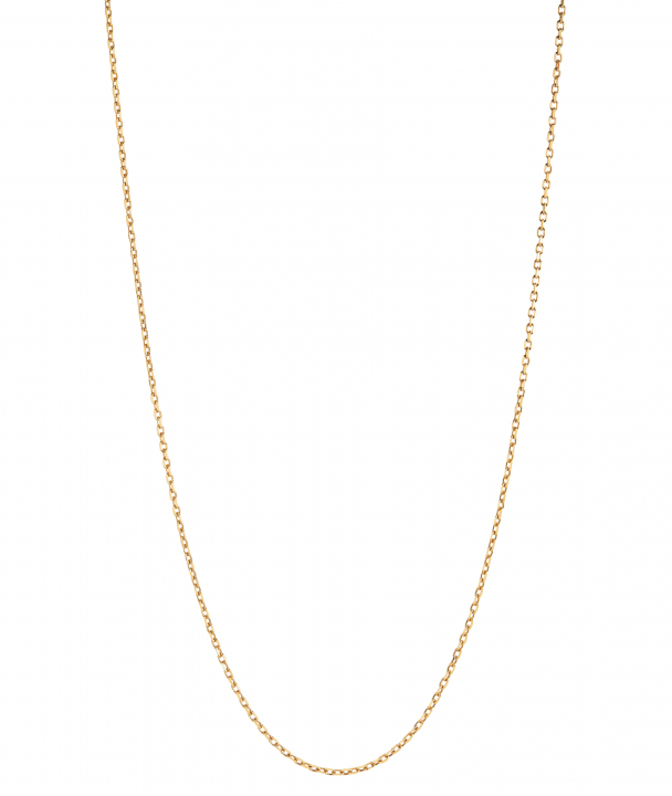 Chain 50 Adjustable Necklace 50 Goldplated Silver (One) i gruppen Halskæde / Guldhalskæde hos SCANDINAVIAN JEWELRY DESIGN (300370YG-50)