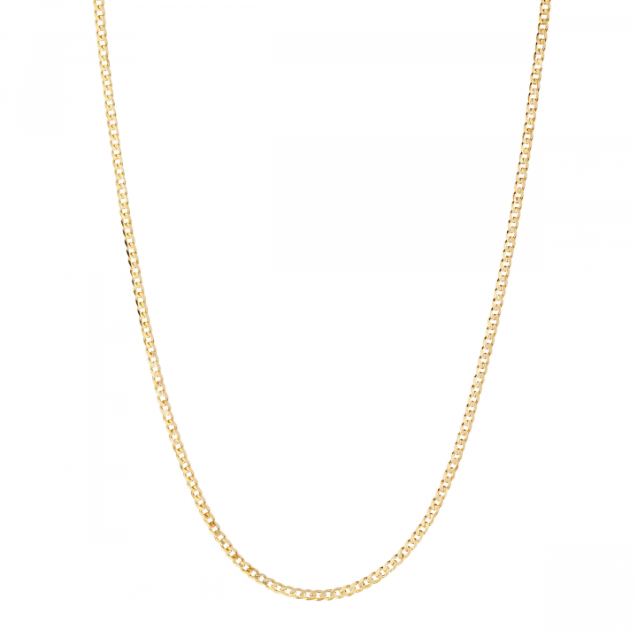 Saffi Necklace 50 Goldplated Silver (One) i gruppen Halskæde / Guldhalskæde hos SCANDINAVIAN JEWELRY DESIGN (300407YG-50)