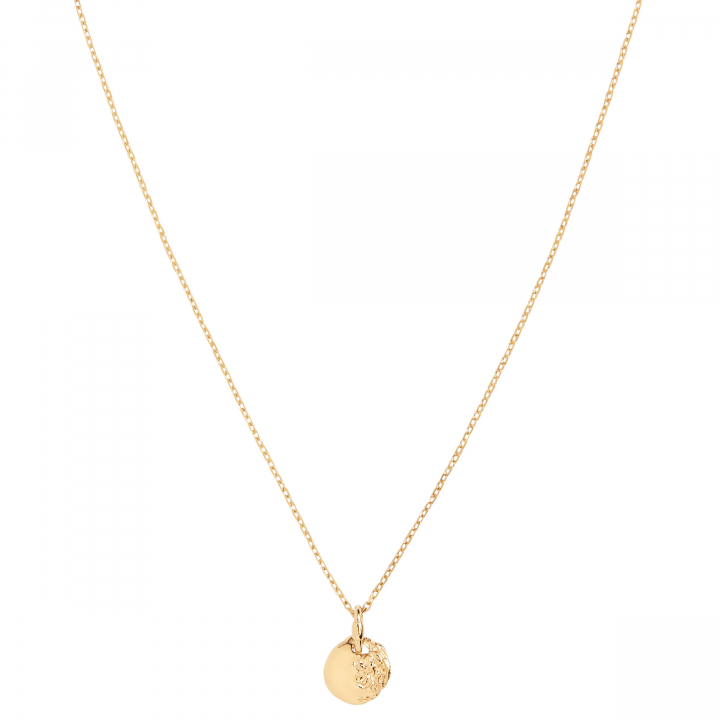 Aspen 50 Necklace Goldplated Silver (One) i gruppen Halskæde / Guldhalskæde hos SCANDINAVIAN JEWELRY DESIGN (300460YG-50)