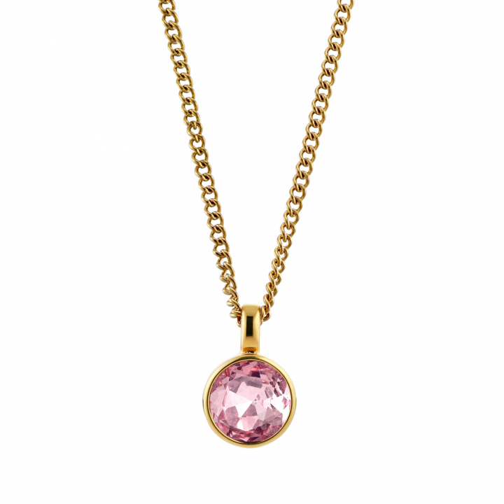 ETTE Guld VINTAGE ROSE Halskæde i gruppen Halskæde / Guldhalskæde hos SCANDINAVIAN JEWELRY DESIGN (350846)