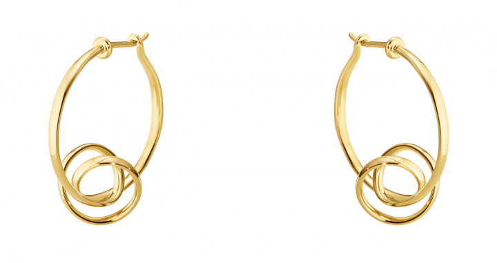 FORGET-ME-KNOT, Torun Hoop Earrings Gold i gruppen Halskæde / Guldhalskæde hos SCANDINAVIAN JEWELRY DESIGN (3518355)