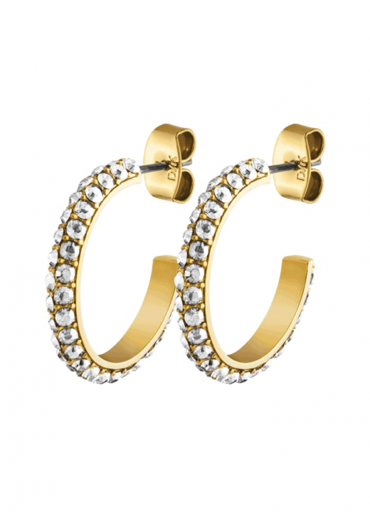 HOSTA Gold CRYSTAL Earrings i gruppen Øreringe / Guldøreringe hos SCANDINAVIAN JEWELRY DESIGN (353966)
