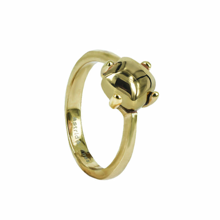 VICTORIA Plain Guld ring i gruppen Ringe hos SCANDINAVIAN JEWELRY DESIGN (359525V)