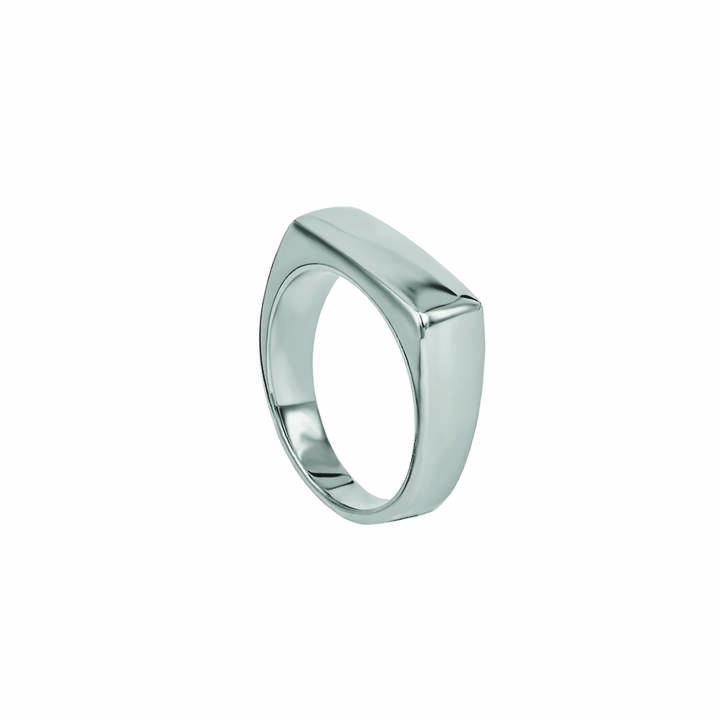 TIM Stål ring i gruppen Ringe hos SCANDINAVIAN JEWELRY DESIGN (365311V)