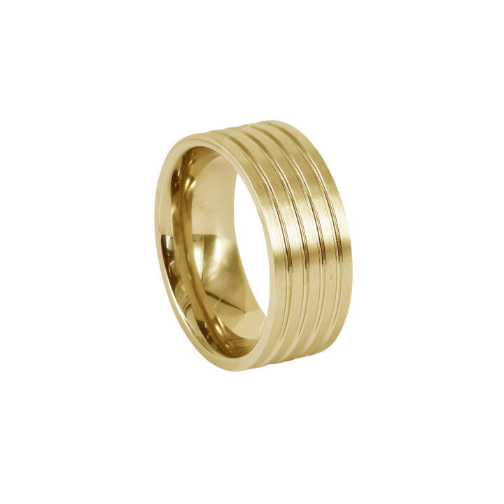 DAVE Guld ring i gruppen Ringe hos SCANDINAVIAN JEWELRY DESIGN (366080V)
